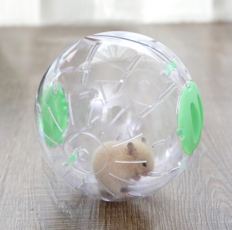 Đồ Chơi, Phụ Kiện, Thức Ăn Hamster