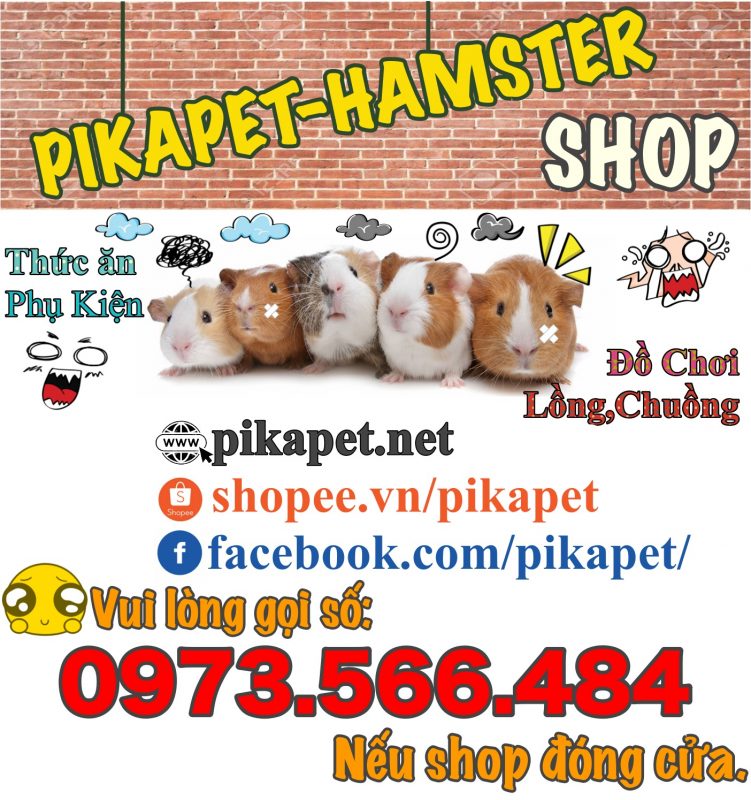 Đồ Chơi, Phụ Kiện, Thức Ăn Hamster